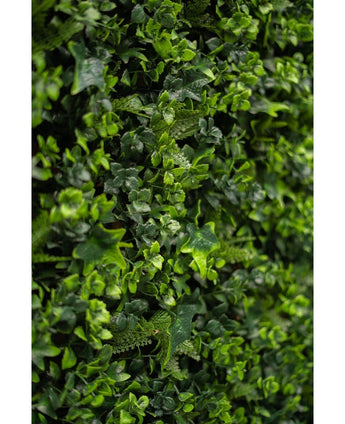 Close-up van dicht groen gebladerte met kleine bladplanten en wijnranken, met de weelderige Kunsthaag mattenmix 50x50 cm, perfect voor het maken van een levendige verticale groene wand.