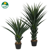 De Kunstplant Agava Pandora UV 85 cm heeft twee kunstmatige agave planten met donkergroene, stekelige bladeren in een zwarte pot. In de linkerbovenhoek staat een UV-beschermingspictogram op een witte achtergrond.