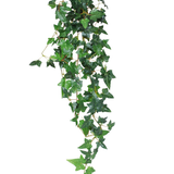 De Kunst hangplant Klimop Boston 100 cm groen heeft puntige groene klimopbladeren op dunne stengels, die naar beneden vallen tegen een witte achtergrond.