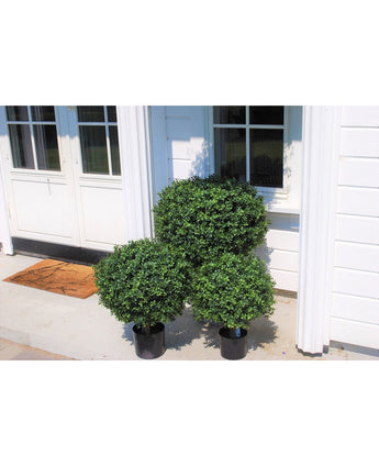 Drie Kunst Buxus op stam UV 40 cm ronde groene potstruiken staan bij de ingang van een wit huis met dubbele deuren en ramen, aangevuld met een bruine deurmat, terwijl het zonlicht schaduwen werpt op de muur en de grond.