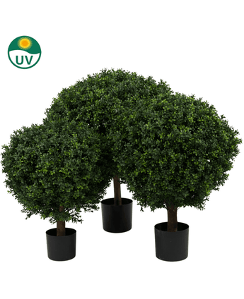 Drie Kunst Buxus op stam UV d60 cm vormbomen met rond, dicht groen gebladerte in zwarte potten. In de linkerbovenhoek staat een groen UV-beschermingssymbool tegen een witte achtergrond.