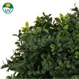 Close-up van Kunst Buxus op stam UV d60 cm bladeren met een UV-beschermingssymbool linksboven, om aan te geven dat deze kunstplant geschikt is voor buiten of in de zon.