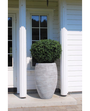 De Kunstplant Buxus op stam romeinse stijl UV 95cm, een hoge en realistische groene struik in een gestructureerde ronde grijze plantenbak, is geplaatst voor een wit houten huis met een raam en een glazen deur.