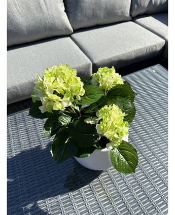 De Kunstplant Hortensia Groen UV 35 cm met lichtgroene bloemen staat op een grijze rieten buitentafel, voor een grijze sofa met kussens. Zonlicht belicht de kunstplant en werpt schaduwen over de tafel.