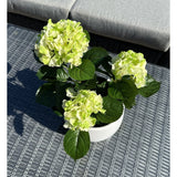 De Kunstplant Hortensia Groen UV 35 cm, met lichtgroene bloesems en donkergroene bladeren, staat op een geweven grijze buitentafel met een kussens bank op de achtergrond.