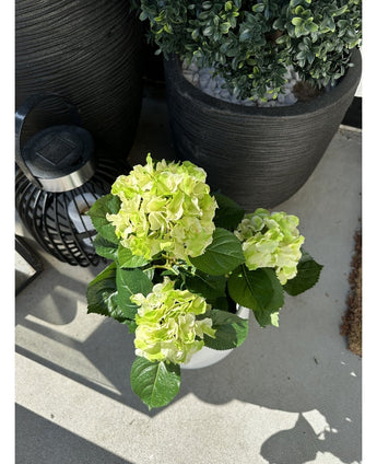 De Kunstplant Hortensia Groen UV 35 cm met lichtgroene bloemen staat op een zonnige patio naast een zwarte lantaarn en een grote plantenbak met bonte bladeren, die felle schaduwen werpt op de betonnen vloer.