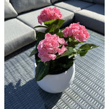 De Kunstplant Hortensia Roze UV 35 cm, een witte pot met levendige roze hortensiabloemen, staat op een geweven grijze buitentafel met een grijze sofa met kussens op de achtergrond, verlicht door zonlicht en zachte schaduwen.