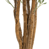 Close-up van een aantal bruine stammen met ruwe schors en een paar groene bladeren tegen een effen witte achtergrond, met de Kunst olijfboom UV 120 cm: een onderhoudsarme, UV-bestendige kunstplant voor duurzame schoonheid binnen of buiten.