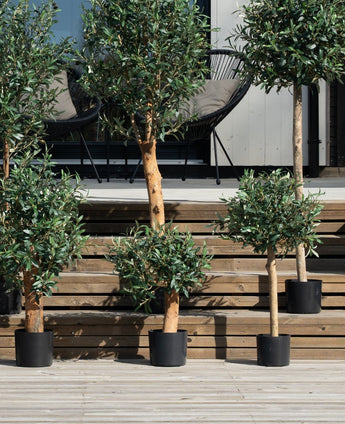 Verschillende Kunst Olijfmontage UV 60cm bomen staan in potten op houten treden buiten, die naar een terras leiden met twee zwarte stoelen en een kussen tegen een lichte muur.