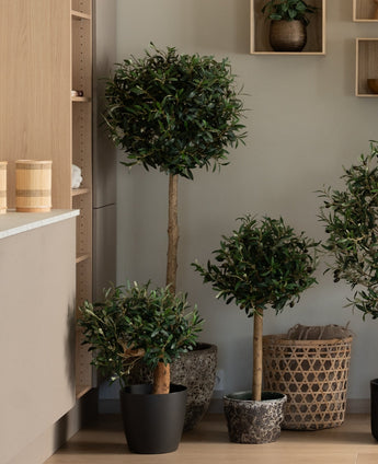 Een Kunst Olijfmontage UV 60 cm kunstmatige olijfplant met een ronde, bladerige top voegt onderhoudsvrij groen toe aan een moderne, minimalistische kamer, geplaatst in de buurt van houten planken en rieten manden.