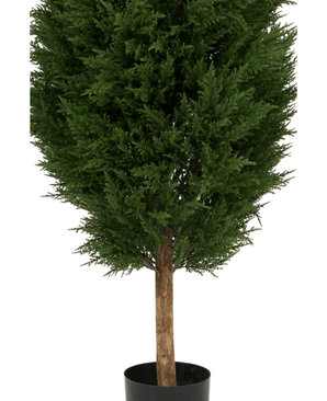 De Kunstplant Conifeer UV 180cm is een kunstgroene boom in pot met dicht donkergroen blad en een bruine stam, gepresenteerd in een eenvoudige zwarte pot tegen een witte achtergrond.