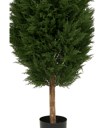 De Kunstplant Conifeer UV 180cm is een kunstgroene boom in pot met dicht donkergroen blad en een bruine stam, gepresenteerd in een eenvoudige zwarte pot tegen een witte achtergrond.