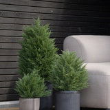 Drie groenblijvende planten in pot, waaronder een Kunstplant Conifeer deluxe UV 90 cm, staan op een houten vloer naast een lichtgrijze bank, met een donkerhouten muur erachter voor een elegant en onderhoudsvrij plantenaccent.