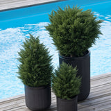 Drie Kunstplant Conifeer deluxe UV 90 cm heesters in zwart getextureerde plantenbakken staan op een houten terras naast een helderblauw zwembad en creëren een onderhoudsvrij plantenaccent.