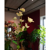 Een Kunstkornoelje Real Touch Lichtgeel 74cm, een lange steel crèmekleurige kunstbloemen met lichtroze randen, staat in een helder verlichte binnenruimte tussen verschillende potplanten en bloemstukken.