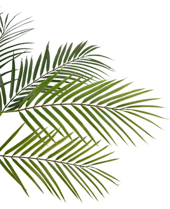 Close-up van Kunstpalm Chamaedorea 83 cm met groene, slanke bladeren tegen een witte achtergrond, waardoor een natuurlijke en tropische look ontstaat.