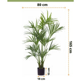 De Kunstpalm Kentia 165 cm is een kunstpalm van 165 cm hoog en 80 cm breed, geplaatst in een zwarte pot van 18x15 cm. Het Easyplants logo is zichtbaar aan de onderkant van de afbeelding.