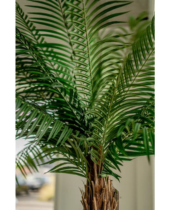 Close-up van de Kunstpalm Phoenix De Luxe 210 cm, met lange, smalle groene bladeren en een bruine stam met textuur, tegen een zacht vage achtergrond.