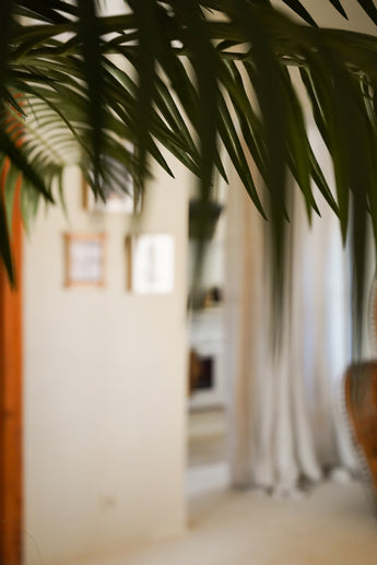 Een close-up van Kunstpalm Phoenix De Luxe 210 cm groene bladeren verduistert gedeeltelijk een zacht verlichte kamer met crèmekleurige muren, ingelijste foto's, witte gordijnen en een onscherpe achtergrond.