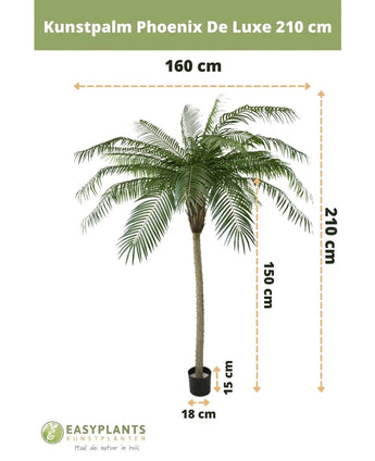 Kunstpalm Phoenix De Luxe 210 cm: kunstpalm, max breedte 160 cm, stamhoogte 150 cm, potmaat H15xØ18 cm. Branding en Nederlandse tekst zijn zichtbaar.
