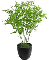 De Kunstplant Asparagus 59 cm heeft weelderige, delicate groene bladeren in een strakke zwarte pot, tegen een frisse witte achtergrond.