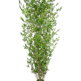 De Kunstplant Bamboe Deluxe 210 cm is een hoge kunstbamboe met slanke groene bladeren en dunne bruine stengels, in een kleine zwarte pot, perfect om groen toe te voegen aan elke ruimte.