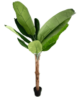 De Kunstplant Bananenboom 180 cm is een hoge kunstbananenplant met grote groene bladeren en een bruine stam in een kleine zwarte pot, afgebeeld tegen een effen witte achtergrond.
