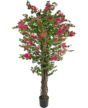 De Kunstplant Bougainvillea 180 cm is een hoge kunstplant met gedraaide bruine stengels, levendige groene bladeren en trossen felroze bloemen in pot.
