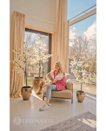 Een vrouw in een roze vest met patroon en spijkerbroek zit op een beige fauteuil bij grote ramen met crèmekleurige gordijnen, omringd door drie Kunstplant Bougainvillea van 180 cm wit in glanzend gouden plantenbakken. Zonlicht vult de moderne, luchtige kamer.