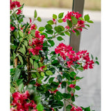 Een kleine kolibrie zweeft in de buurt van de Kunstplant Bougainvillea Liana Fuchsia 115 cm met weelderige groene bladeren, nectar nippend en een mediterrane sfeer binnenbrengend tegen een vage achtergrond van buiten gezien door het raam.