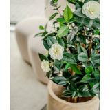 De Kunstplant Camellia japonica 100 cm met glanzende groene bladeren en witte bloemen staat binnen naast een lichte stoel en een getextureerd vloerkleed.