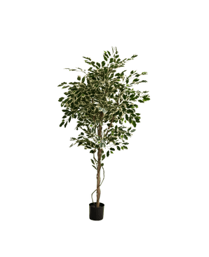 De Kunstplant Ficus Exotica 165 cm heeft bonte groene en witte bladeren aan meerdere slanke takken in een eenvoudige zwarte pot, tegen een effen witte achtergrond.