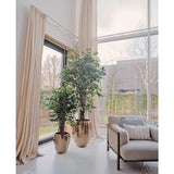 Twee Kunstplant Ficus Liana 180 cm in glanzend gouden potten staan bij een groot raam met lange crèmekleurige gordijnen in een lichte, moderne woonkamer met een beige fauteuil en structuurkussen. Buiten zijn bomen en een gebouw zichtbaar.