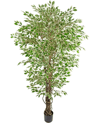 Kunstplant Hawaiian Ficus Liana 180 cm