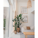 Een lichte, moderne woonkamer met grote ramen, een grijs vloerkleed, een houten salontafel en een lichte bank. Twee Kunstplant Heliconia's 210 cm in metalen vazen bij beige gordijnen geven de ruimte een luxe uitstraling.