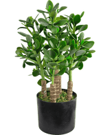 De Kunstplant Jade 45 cm heeft dikke, ovale groene bladeren en stevige stelen in een zwarte pot met mos die de aarde bedekt.
