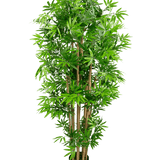 De Kunstplant Japanse Bamboe 150 cm is een hoge kunstbamboe met meerdere bruine stengels en weelderige groene bladeren, in een compacte zwarte pot, tegen een effen witte achtergrond.