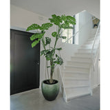 Een Kunstplant Monstera 210 cm staat in een pot op een grijze vloer naast een witte trap met een gebogen leuning in een modern, minimalistisch interieur. Links is een zwarte deur zichtbaar.