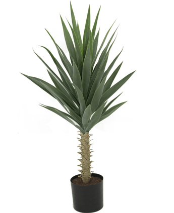 De Kunstplant Yucca 100 cm UV heeft hoge, stekelige groene bladeren op een dikke stengel, is opgepot in een kleine zwarte pot met aarde en is gefotografeerd tegen een witte achtergrond.