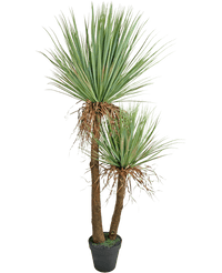 Kunstplant Yucca Deluxe 153 cm