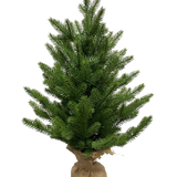 De Kunstkerstboom Mini "Munchi" 60 cm (100% PE) is een kleine, groene den met dichte takken. Zijn basis is omwikkeld met jute en vastgebonden met touw en staat rechtop tegen een effen witte achtergrond.
