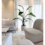 Lichte, moderne woonkamer met een witte bank, ronde fauteuil en poef. Een 180 cm Kunstplant Strelitzia Real Touch kant en klaar in pot beige staat naast transparante gordijnen. Gezellige neutrale inrichting met een zacht vloerkleed en kussens maken de look compleet.