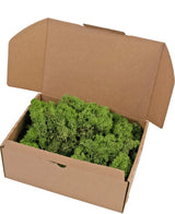 Open kartonnen doos Rendier Mos Forest Green 500 gram, gevuld met weelderig groen mos en afgebeeld tegen een witte achtergrond.