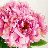 Zijden kunstbloemen boeket Peony Light Pink