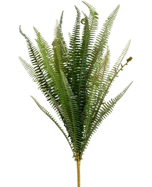 De Kunst Steek Varen 64 cm is een rechtopstaande groene kunstvaren met lange, smalle, vederachtige bladeren en een bruine stengel, tegen een effen witte achtergrond.