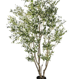 De Kunstplant Olijfboom 260 cm heeft meerdere slanke takken en dichte, smalle groene bladeren. Tegen een witte achtergrond brengt deze onderhoudsvriendelijke kunstplant moeiteloos groen in elke ruimte.