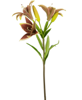 De Kunstbloem Aziatische Lelie 66 cm oud roze heeft een enkele steel met drie roze kunstlelie bloemen-twee in bloei en een in knop-met groene bladeren, tegen een effen witte achtergrond.