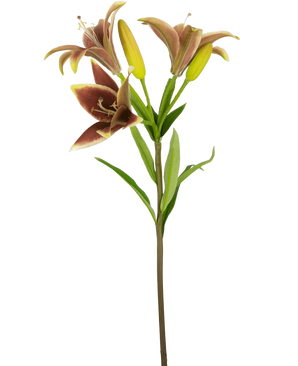 De Kunstbloem Aziatische Lelie 66 cm oud roze heeft een enkele steel met drie roze kunstlelie bloemen-twee in bloei en een in knop-met groene bladeren, tegen een effen witte achtergrond.