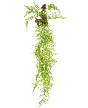 De Kunst hangplant Varen Mix Deluxe 100 cm heeft levensechte groene varenbladeren en blootliggende wortels met grondklonters, die elegant tegen een effen witte achtergrond hangen.