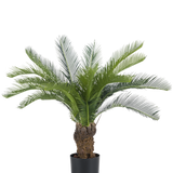 De Kunstplant Cycaspalm 80 cm heeft lange, gebogen groene palmvaren en een dikke, gestructureerde stam. De plant staat in een eenvoudige zwarte pot tegen een effen witte achtergrond.